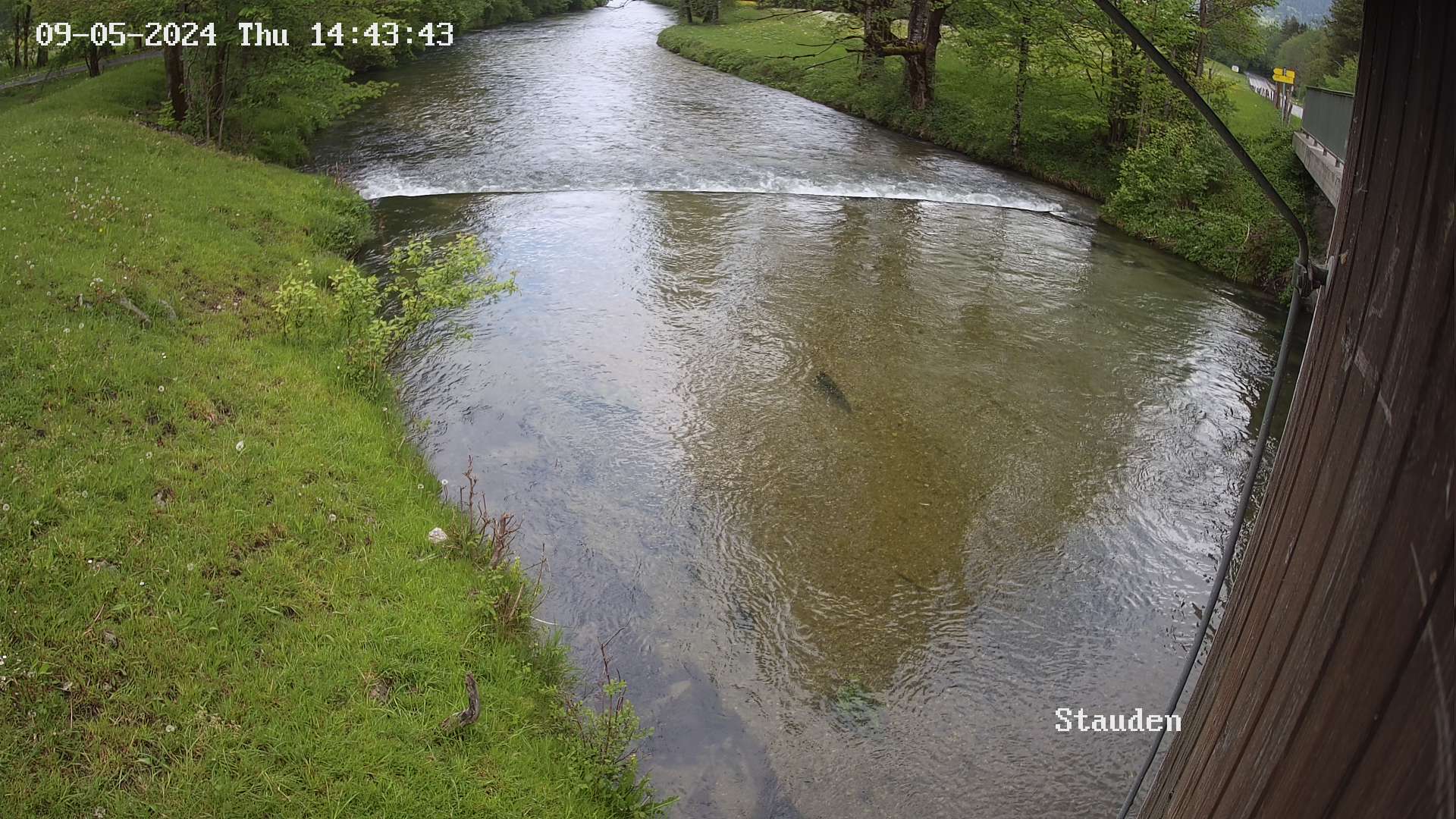 Webcam-Bild der Messstelle Stauden